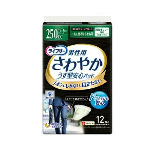 ��ˡ����㡼�ࡡ�饤�ե꡼����䤫�ѥå������Ѱ쵤�˽Ф����¿��ѡ�250cc 12�� 4903111564545����2��������48�ĥ��å�